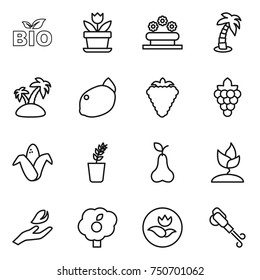 thin line icon set : bio, flower, bed, palm, island, lemon, berry, grape, corn, seedling, pear, sprouting, hand leaf, garden, ecology, blower