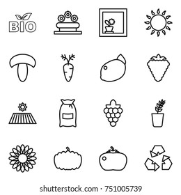 thin line icon set : bio, flower bed, in window, gas oven, mushroom, carrot, lemon, berry, field, flour, grape, seedling, pumpkin, tomato, recycling