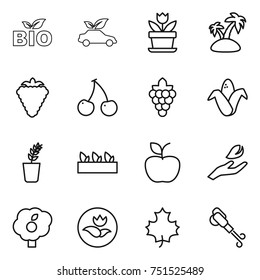 thin line icon set : bio, eco car, flower, island, berry, cherry, grape, corn, seedling, apple, hand leaf, garden, ecology, maple, blower