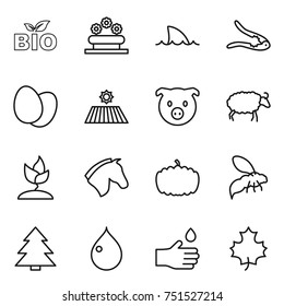 thin line icon set : bio, flower bed, shark flipper, walnut crack, eggs, field, pig, sheep, sprouting, horse, pumpkin, wasp, spruce, drop, hand, maple leaf