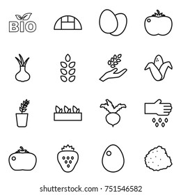 thin line icon set : bio, greenhouse, eggs, tomato, onion, spikelets, harvest, corn, seedling, beet, sow, strawberry, egg, pile of garbage