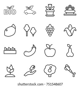 thin line icon set : bio, eco car, flower, bed, lemon, trees, grape, corn, seedling, eggplant, apple, pear, sprouting, hand leaf, garden, blower