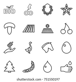thin line icon set : bio, infinity power, hawaiian wreath, starfish, mushroom, field, cherry, harvest, goose, horse, egg, spruce, peas, drop, hand