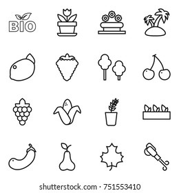 thin line icon set : bio, flower, bed, island, lemon, berry, trees, cherry, grape, corn, seedling, eggplant, pear, maple leaf, blower