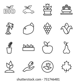 thin line icon set : bio, eco car, flower, bed, palm, lemon, grape, corn, seedling, apple, pear, sprouting, hand leaf, ecology, maple