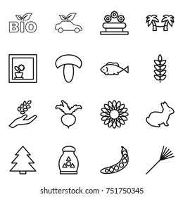 thin line icon set : bio, eco car, flower bed, palm hammock, in window, mushroom, fish, spikelets, harvest, beet, rabbit, spruce, fertilizer, peas, rake