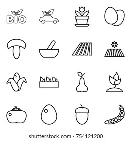 thin line icon set : bio, eco car, flower, eggs, mushroom, mortar, field, corn, seedling, pear, sprouting, tomato, egg, acorn, peas