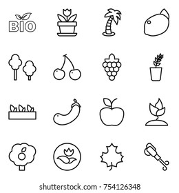 thin line icon set : bio, flower, palm, lemon, trees, cherry, grape, seedling, eggplant, apple, sprouting, garden, ecology, maple leaf, blower