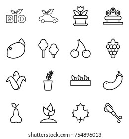 thin line icon set : bio, eco car, flower, bed, lemon, trees, cherry, grape, corn, seedling, eggplant, pear, sprouting, maple leaf, blower