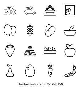 thin line icon set : bio, eco car, flower bed, in window, eggs, spikelets, beans, mortar, berry, field, seedling, apple, pear, egg, carrot, peas