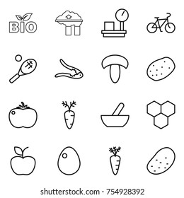 thin line icon set : bio, factory filter, warehouse scales, bike, tennis, walnut crack, mushroom, potato, tomato, carrot, mortar, honeycombs, apple, egg