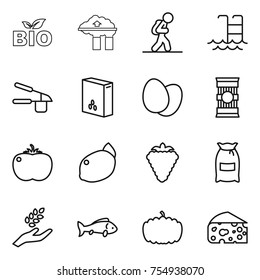 thin line icon set : bio, factory filter, tourist, pool, garlic clasp, cereals, eggs, pasta, tomato, lemon, berry, flour, harvest, fish, pumpkin, cheese
