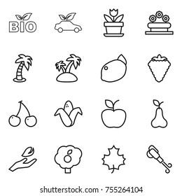 thin line icon set : bio, eco car, flower, bed, palm, island, lemon, berry, cherry, corn, apple, pear, hand leaf, garden, maple, blower