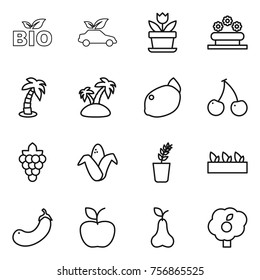 Thin line icon set : bio, eco car, flower, bed, palm, island, lemon, cherry, grape, corn, seedling, eggplant, apple, pear, garden