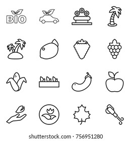 Thin line icon set : bio, eco car, flower bed, palm, island, lemon, berry, grape, corn, seedling, eggplant, apple, hand leaf, ecology, maple, blower