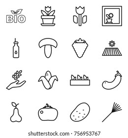 Thin line icon set : bio, flower, perishable, in window, vegetable oil, mushroom, berry, field, harvest, corn, seedling, eggplant, pear, tomato, potato, rake