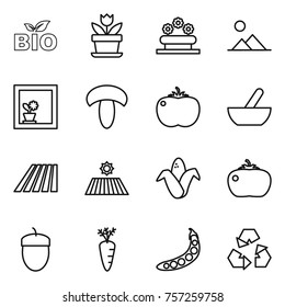 Thin line icon set : bio, flower, bed, landscape, in window, mushroom, tomato, mortar, field, corn, acorn, carrot, peas, recycling
