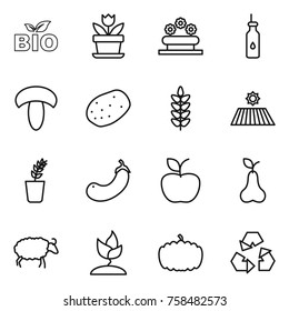Thin line icon set : bio, flower, bed, vegetable oil, mushroom, potato, spikelets, field, seedling, eggplant, apple, pear, sheep, sprouting, pumpkin, recycling