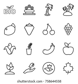 Thin line icon set : bio, flower bed, palm, island, lemon, berry, cherry, grape, corn, seedling, eggplant, apple, sprouting, hand leaf, ecology, maple