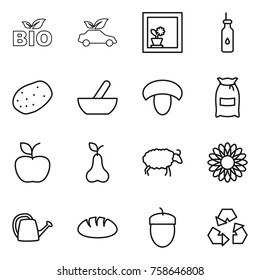 Thin line icon set : bio, eco car, flower in window, vegetable oil, potato, mortar, mushroom, flour, apple, pear, sheep, watering can, bread, acorn, recycling
