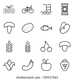 Thin line icon set : bio, bike, pool, pasta, mushroom, potato, fish, beans, spikelets, cherry, corn, eggplant, apple, strawberry