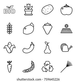 Thin line icon set : bio, flower, potato, tomato, spikelets, lemon, berry, field, corn, eggplant, pear, watering can, carrot, peas, recycling, rake