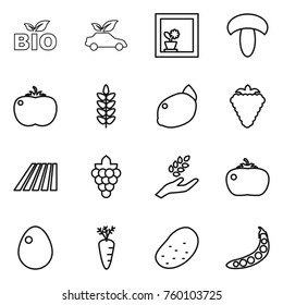 Thin line icon set : bio, eco car, flower in window, mushroom, tomato, spikelets, lemon, berry, field, grape, harvest, egg, carrot, potato, peas