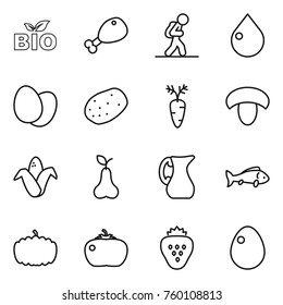 Thin line icon set : bio, chicken leg, tourist, drop, eggs, potato, carrot, mushroom, corn, pear, jug, fish, pumpkin, tomato, strawberry, egg