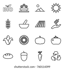 Thin line icon set : bio, flower bed, landscape, gas oven, spikelets, mortar, field, harvest, corn, pumpkin, tomato, bread, acorn, carrot, recycling