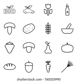 Thin line icon set : bio, eco car, perishable, vegetable oil, mushroom, potato, spikelets, mortar, berry, pear, pumpkin, bread, acorn, carrot, rake