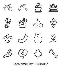 Thin line icon set : bio, eco car, flower, bed, palm, island, cherry, grape, corn, eggplant, apple, sprouting, hand leaf, garden, maple, blower