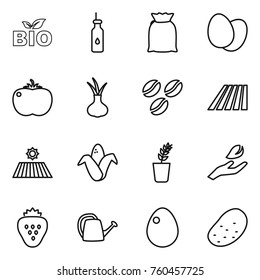 Thin line icon set : bio, vegetable oil, flour, eggs, tomato, onion, coffee seeds, field, corn, seedling, hand leaf, strawberry, watering can, egg, potato