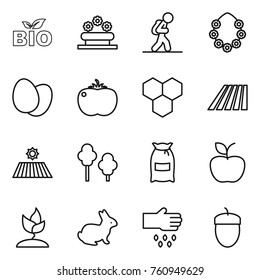 Thin line icon set : bio, flower bed, tourist, hawaiian wreath, eggs, tomato, honeycombs, field, trees, flour, apple, sprouting, rabbit, sow, acorn