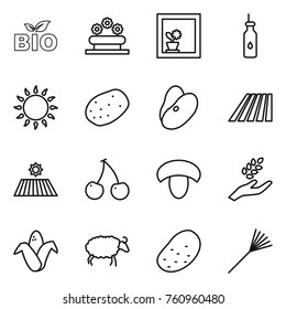 Thin line icon set : bio, flower bed, in window, vegetable oil, gas oven, potato, beans, field, cherry, mushroom, harvest, corn, sheep, rake