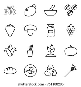Thin line icon set : bio, lemon, mortar, coffee seeds, berry, mushroom, flour, grape, corn, seedling, sprouting, pumpkin, bread, ecology, recycling, rake