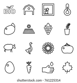 Thin line icon set : bio, barn, flower in window, thermometer, lemon, field, grape, seedling, sheep, goose, tomato, egg, carrot, hand drop, maple leaf
