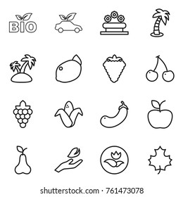 Thin line icon set : bio, eco car, flower bed, palm, island, lemon, berry, cherry, grape, corn, eggplant, apple, pear, hand leaf, ecology, maple