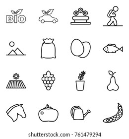 Thin line icon set : bio, eco car, flower bed, tourist, landscape, flour, eggs, fish, field, grape, seedling, pear, horse, tomato, watering can, peas
