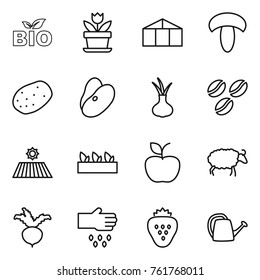 Thin line icon set : bio, flower, greenhouse, mushroom, potato, beans, onion, coffee seeds, field, seedling, apple, sheep, beet, sow, strawberry, watering can