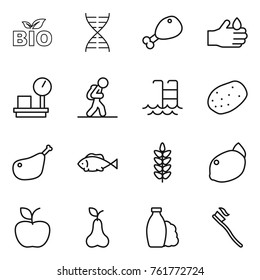 Thin line icon set : bio, dna, chicken leg, acid, warehouse scales, tourist, pool, potato, fish, spikelets, lemon, apple, pear, shampoo, tooth brush