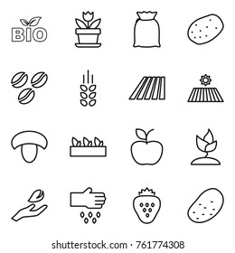 Thin line icon set : bio, flower, flour, potato, coffee seeds, spikelets, field, mushroom, seedling, apple, sprouting, hand leaf, sow, strawberry