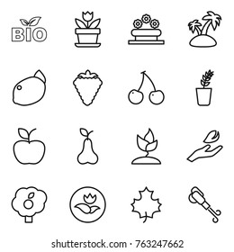Thin line icon set : bio, flower, bed, island, lemon, berry, cherry, seedling, apple, pear, sprouting, hand leaf, garden, ecology, maple, blower