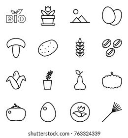 Thin line icon set : bio, flower, landscape, eggs, mushroom, potato, spikelets, coffee seeds, corn, seedling, pear, pumpkin, tomato, egg, ecology, rake