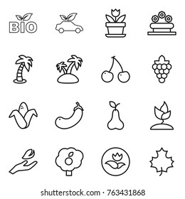 Thin line icon set : bio, eco car, flower, bed, palm, island, cherry, grape, corn, eggplant, pear, sprouting, hand leaf, garden, ecology, maple