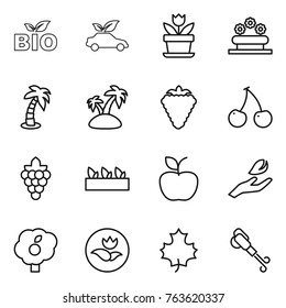 Thin line icon set : bio, eco car, flower, bed, palm, island, berry, cherry, grape, seedling, apple, hand leaf, garden, ecology, maple, blower