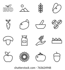 Thin line icon set : bio, landscape, spikelets, beans, carrot, lemon, mortar, coffee seeds, mushroom, flour, harvest, seedling, apple, flower, tomato, acorn