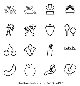 Thin line icon set : bio, eco car, flower, bed, palm, island, berry, trees, cherry, corn, seedling, eggplant, apple, hand leaf, garden