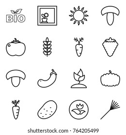 Thin line icon set : bio, flower in window, gas oven, mushroom, tomato, spikelets, carrot, berry, eggplant, sprouting, pumpkin, potato, ecology, rake