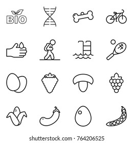 Thin line icon set : bio, dna, bone, bike, acid, tourist, pool, tennis, eggs, berry, mushroom, grape, corn, eggplant, egg, peas