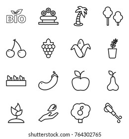 Thin line icon set : bio, flower bed, palm, trees, cherry, grape, corn, seedling, eggplant, apple, pear, sprouting, hand leaf, garden, blower